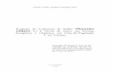 Resposta d Cultivaree d Feijãe s (Phaseolus o vulgaris L ...