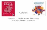 Células - biologia.ifsc.usp.br