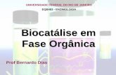 Biocatálise em Fase Orgânica - cleantech.eq.ufrj.br