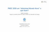 PNEC 2030 um “Admirável Mundo Novo” o que fazer?