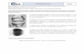 INSTRUÇÃO DE USO 1 20 Versão 01 - OCX Implantes