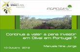 Continua a valer a pena investir em Olival em Portugal