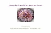 Interação vírus célula Aspectos Gerais