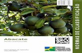 folder abacate - Minas Gerais