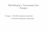 Morfologia e Taxonomia dos Fungos