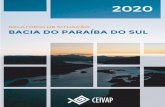 2020 RELATÓRIO DE SITUAÇÃO - CEIVAP
