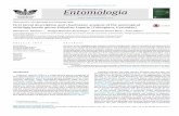 REVISTA BRASILEIRA DE Entomologia