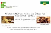 Noções de Nutrição Animal com Ênfase nos Ruminantes parte I