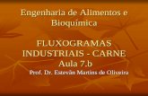 FLUXOGRAMAS INDUSTRIAIS - CARNE Aula 7.