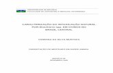 CARACTERIZAÇÃO DA INTOXICAÇÃO NATURAL POR Brachiaria spp ...