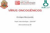 Vírus associados a tumores em humanos IARC – Carcinógenos ...