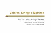 Vetores, Strings e Matrizes - IME-USP