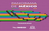 Panorama sociodemográfico de Tamaulipas 2020