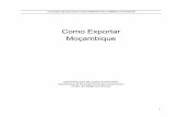 Como Exportar Moçambique