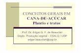 CONCEITOS GERAIS EM CANA-DE-AÇÚCAR Plantio e tratos