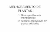 MELHORAMENTO DE PLANTAS - UENF