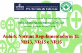 Aula 6. Normas Regulamentadoras II: NR13, NR15 e NR16