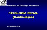 FISIOLOGIA RENAL (Continuação)