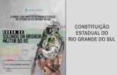 ESTADUAL DO RIO GRANDE DO SUL CONSTITUIÇÃO