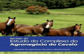 Revisão do Estudo do Complexo do - Governo do Brasil