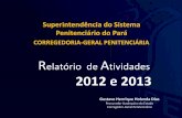 Relatório de Atividades 2012 e 2013