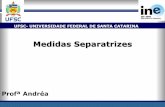 Medidas Separatrizes - UFSC