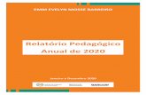 Relatório Pedagógico Anual de 2020 - insb.org.br