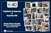 Fragilidades de Segurança X Requisitos OEA Renato Câmara ...
