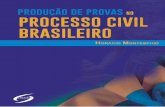 PRODUÇÃO DE PROVAS NO PROCESSO CIVIL BRASILEIRO