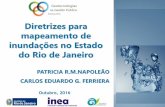 Diretrizes para mapeamento de inundações no Estado do Rio ...