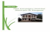 Plan Estratégico Distrital Municipio de Pinogana