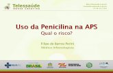 Uso da Penicilina na APS - repositorio.ufsc.br