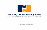 Relatório e Contas - Moçambique Companhia de Seguros