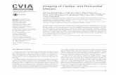 CVIA Imaging of Cardiac and Pericardial Masses