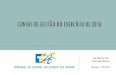 CONTAS DE GESTÃO DO EXERCÍCIO DE 2018 - TCE-AP