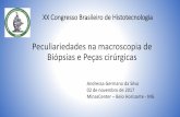 XX Congresso Brasileiro de Histotecnologia