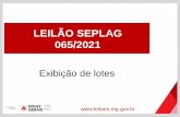 LEILÃO SEPLAG 065/2021