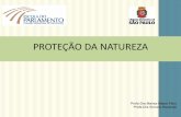 PROTEÇÃO DA NATUREZA - saopaulo.sp.leg.br