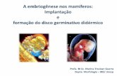 A embriogênese nos mamíferos: Implantação e formação do ...