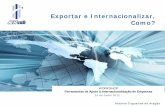 Exportar e Internacionalizar, Como?