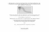 Síntesis y Caracterización de Nanofibras de Carbono para ...