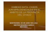 HABEAS DATA- CASOS JURISPRUDENCIALES EN EL …