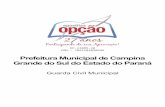 Prefeitura Municipal de Campina Grande do Sul do Estado do ...