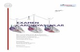 Examen Cardiovascular + dibujos - UANDES