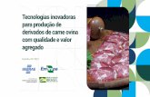 Tecnologias inovadoras para produção de derivados de carne ...