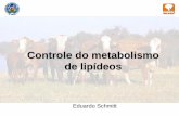 Controle do metabolismo de lipídeos