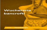 Ebook - Wuchereria bancrofti