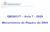 QBQ0317 –Aula 7-2020 Mecanismos de Reparo do DNA