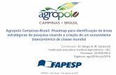 Agropolo Campinas-Brasil: Roadmap para identificação de ...