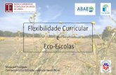 Flexibilidade Curricular Eco-Escolas